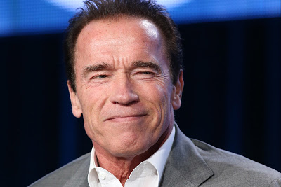 Arnold Schwarzenegger: As Grandes Lições Deste Grande Astro