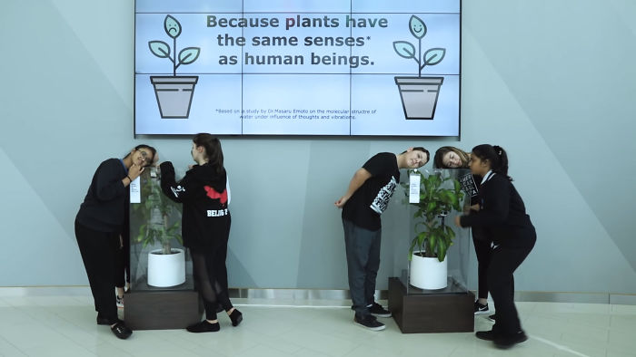 Plantas: Depois do Bulling Vejam Resultados Durante 30 Dias Plantas: Depois do Bulling Vejam Resultados Durante 30 Dias
