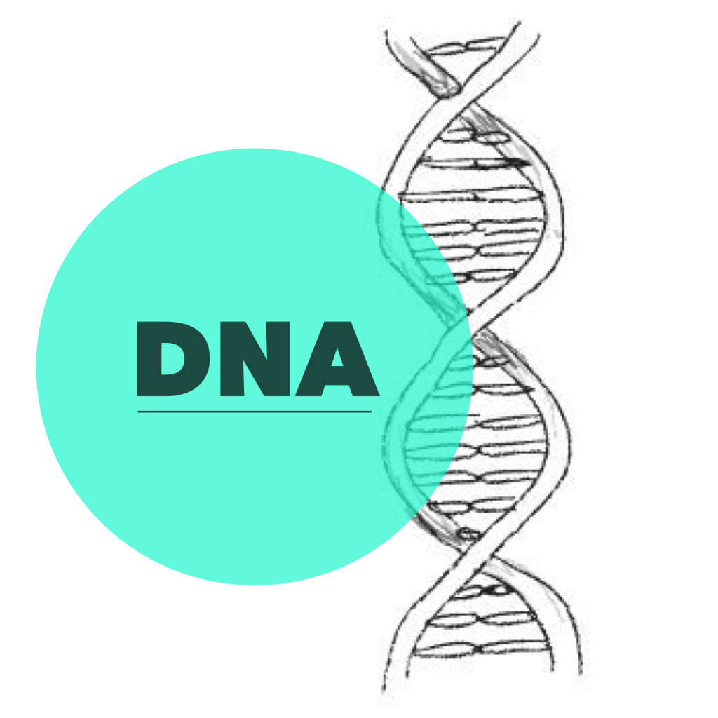 Dna: Cientistas Revelam que Eles Tem Funções Mediúnicas