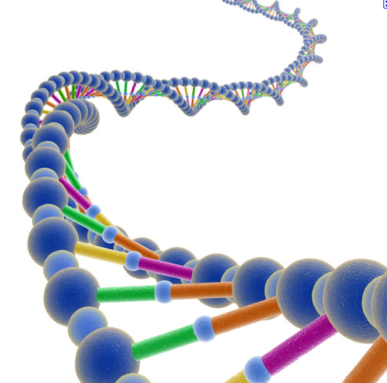 Dna: Cientistas Revelam que Eles Tem Funções Mediúnicas