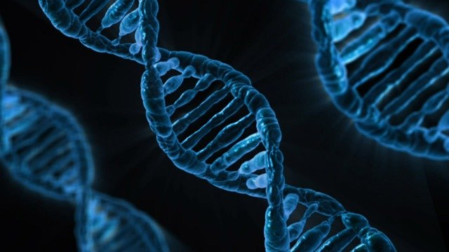 Dna: Cientistas Revelam que Eles Tem Funções Mediúnicas