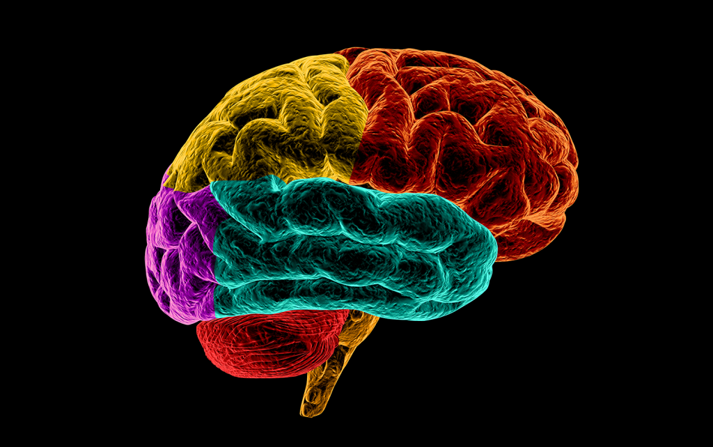 Psicológico: A Dor da Desprogramação da Sua Mente