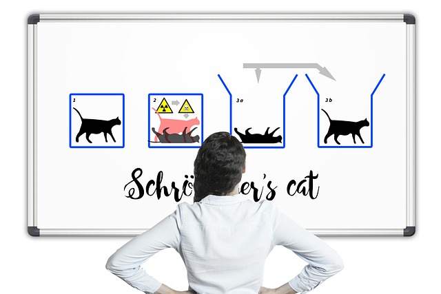 Gato de Schrodinger: Conceito, Impacto na Vida e Reflexões