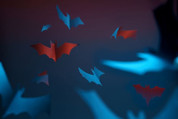 frases motivacionais do batman morcego vermelho e de cor azul