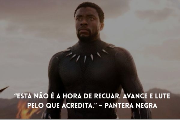 pantera negra pantera negra
