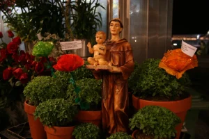 Oração de Santo Antônio: As 7 Forças. Trazer Ex e Pessoa Amada