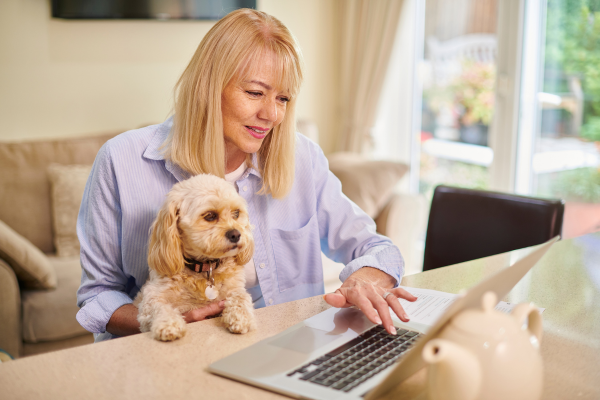 Seguro para Cachorro: Como Escolher. Dicas. Guia Completo