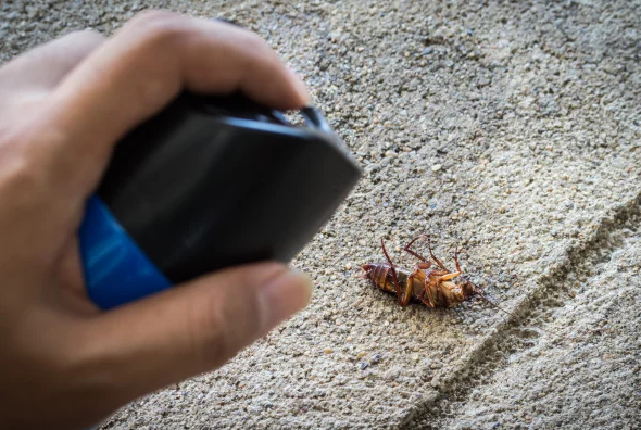 uma mão jogando spray na barata