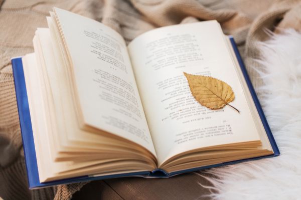 20 Poemas de Felicidade Que te Inspirama Viver Melhor