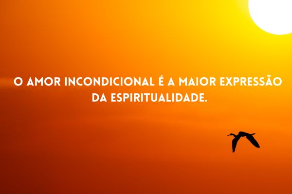 frases espirituais por do sol e uma ave voando