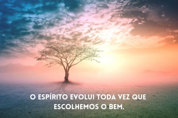 frases espirituais uma arvore com ceu cheio de nuvens e um sol no fundo